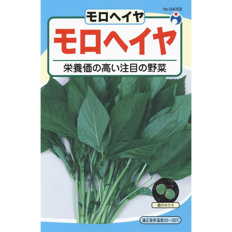 モロヘイヤ / 【04058】 | 花さんぽ｜種子をはじめ園芸用品を取り扱う