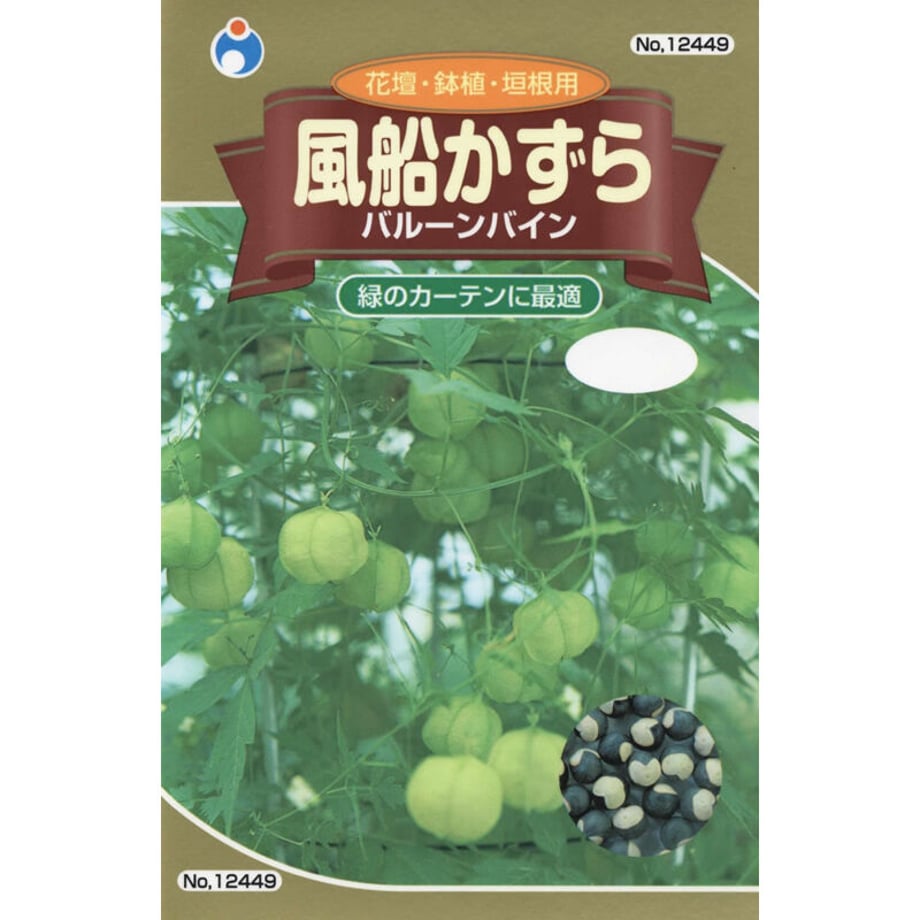 63a2b5452cdd543cbc91fe88