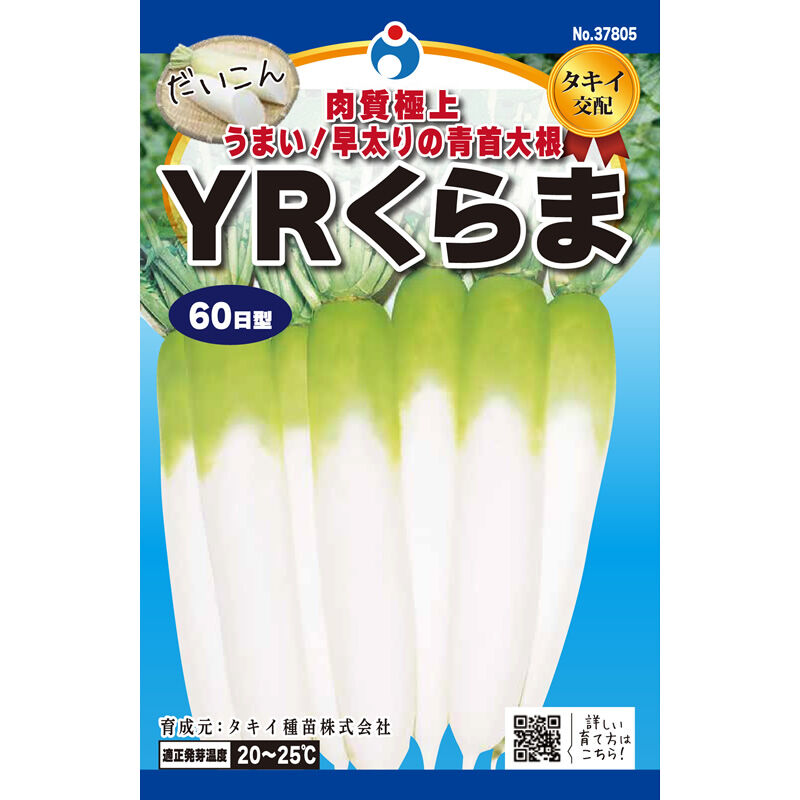 YRくらま大根（だいこん） / 【37805】 | 花さんぽ｜種子をはじめ
