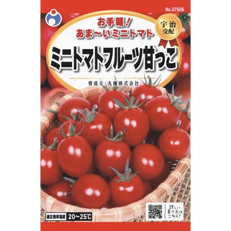 ミニトマトフルーツ甘っこ　/　【37506】