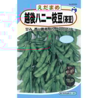 早生越後ハニー枝豆　/　【60006】