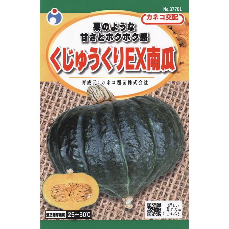 くじゅうくりEX南瓜（かぼちゃ） /【37701】 | 花さんぽ｜種子をはじめ