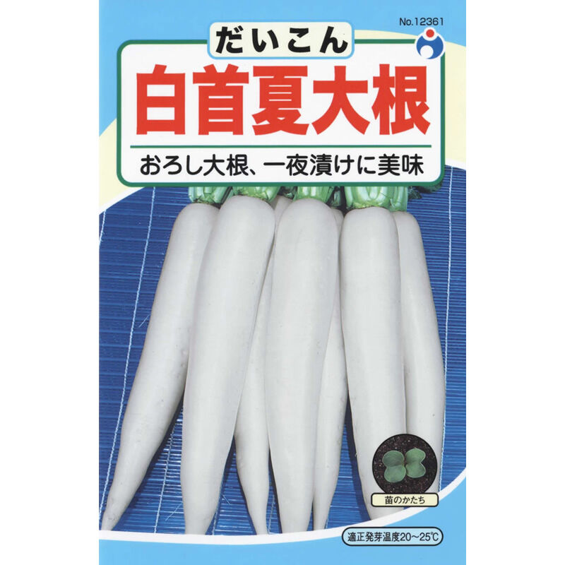 白狐伝】発芽発根済み 超おすすめ！ 【公式通販】