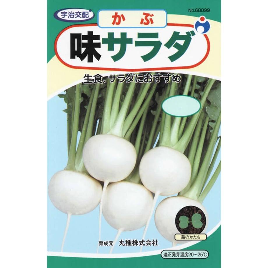 64b0cebee3848e004caf87ec