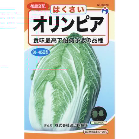 松島交配オリンピア白菜　/　【05070】