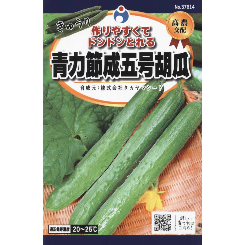 おすすめ　きゅうり　胡瓜　05 青力節成五号胡瓜（きゅうり） / 【37614】 | 花さんぽ｜種子を