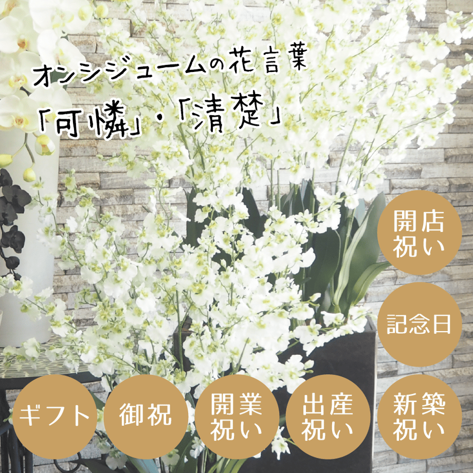 61679d9779a04159e6ba2c08