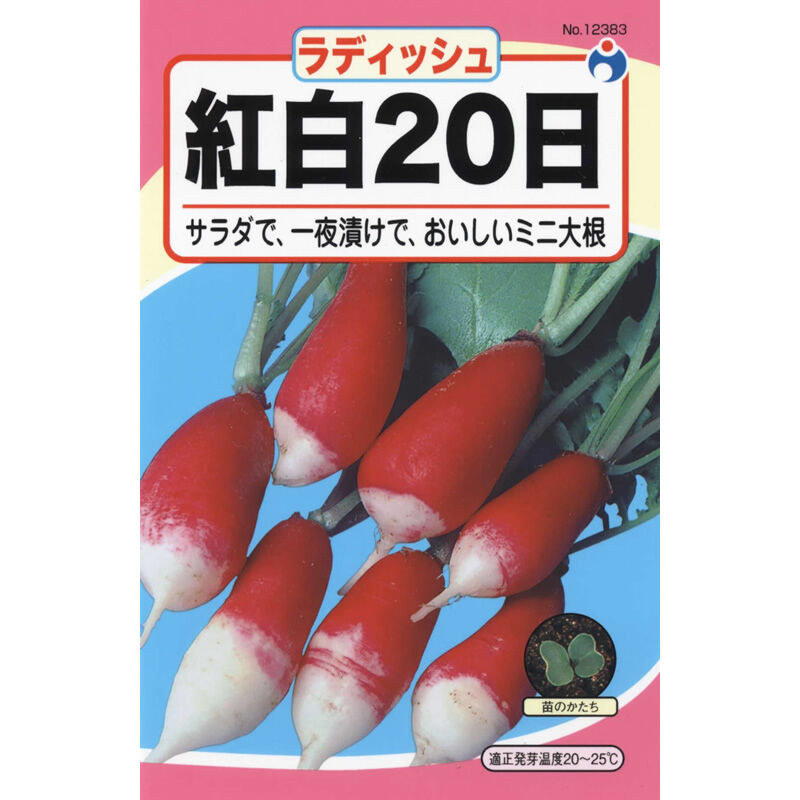 紅白20日大根（だいこん） / 【12383】 | 花さんぽ｜種子をはじめ園芸