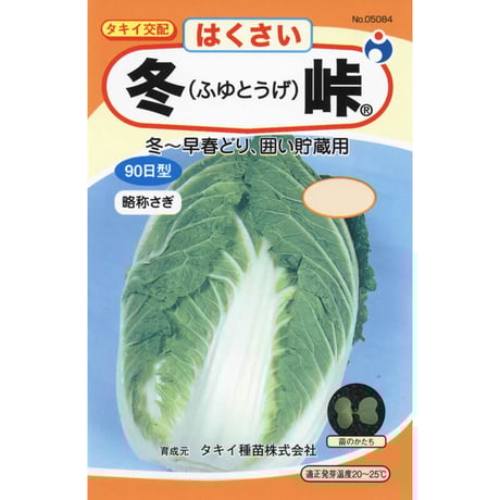 冬峠白菜　/　【05084】
