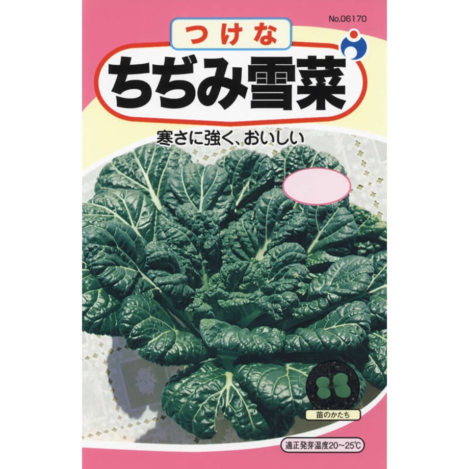 64b0e5274f4ab60033ec09cc