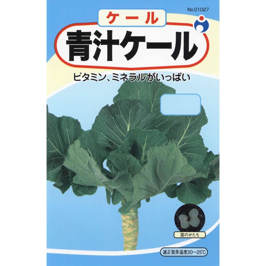 64b0e405e3848e004caf896b