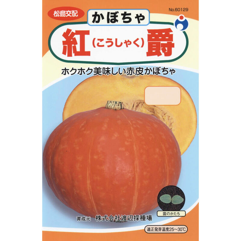 紅爵南瓜（かぼちゃ） / 【60129】 | 花さんぽ｜種子をはじめ園芸用品