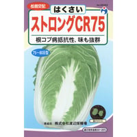 ストロングCR75白菜　/　【05063】