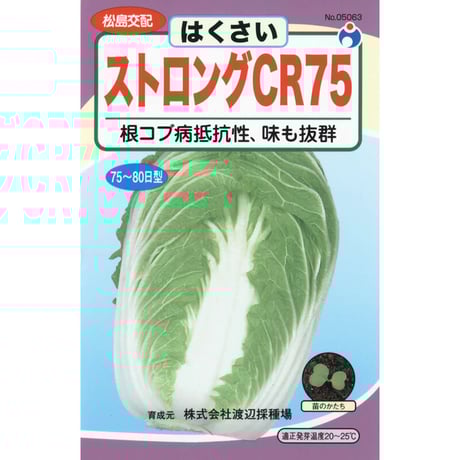ストロングCR75白菜　/　【05063】