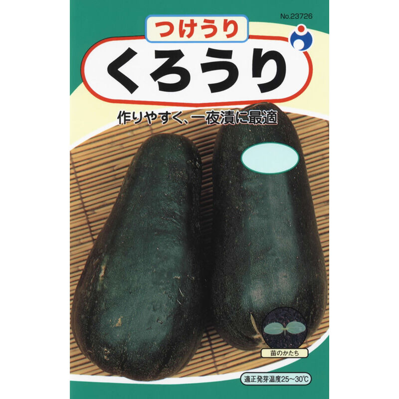 黒うり / 【23726】 | 花さんぽ｜種子をはじめ園芸用品を