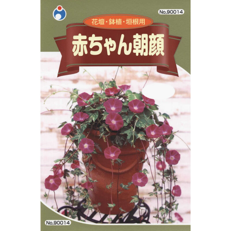 赤ちゃん朝顔 / 【90014】 | 花さんぽ|種子をはじめ園芸用品を 赤ちゃん朝顔 / 【90014】 | 花さんぽ|種子をはじめ園芸用品を