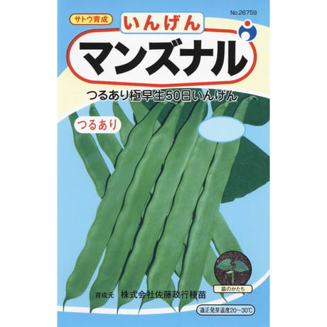マンズナル菜豆　/　【26759】