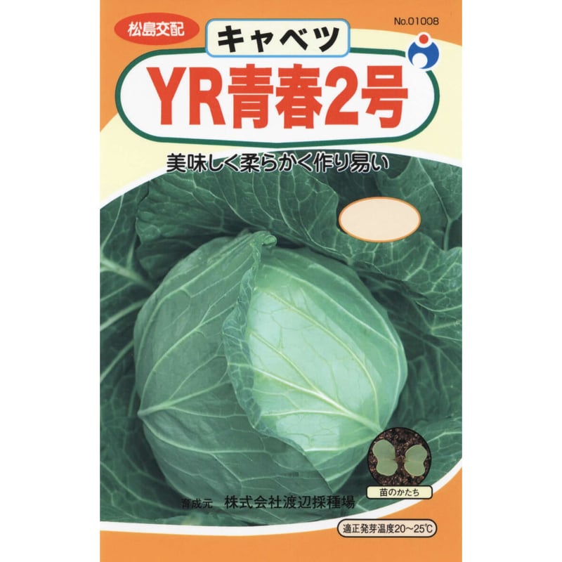 松島交配YR青春2号キャベツ / 【01008】 | 花さんぽ｜種子をはじめ園芸