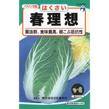 春理想白菜　/　【05086】