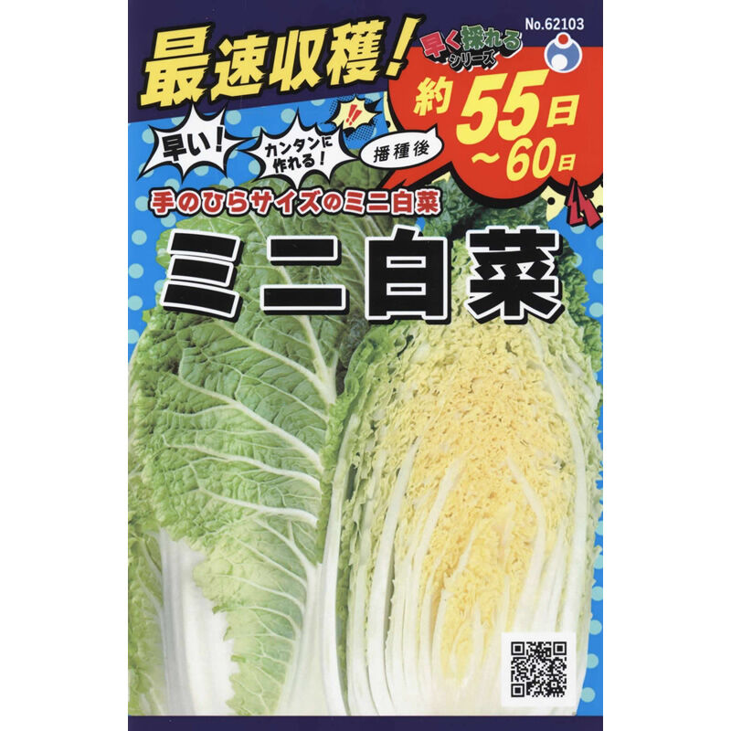 早くとれるミニ白菜 / 【62103】 | 花さんぽ｜種子をはじめ園芸用品を