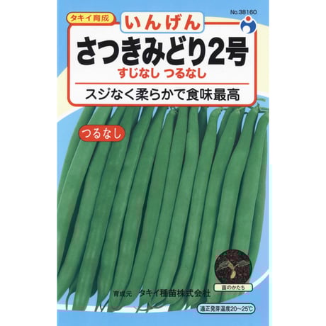 さつきみどり２号菜豆（いんげん）　/　【38160】