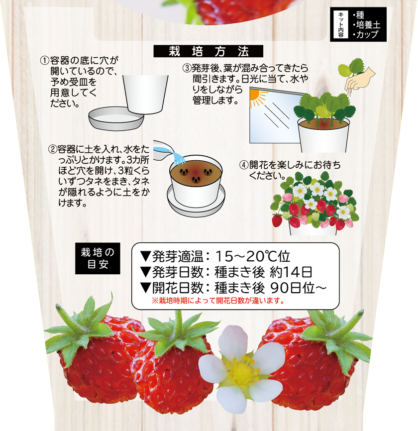 ストロベリーヘイズ 2.5号 20ポット 現品発送 1セットのみ お部屋て楽しむ栽培セット