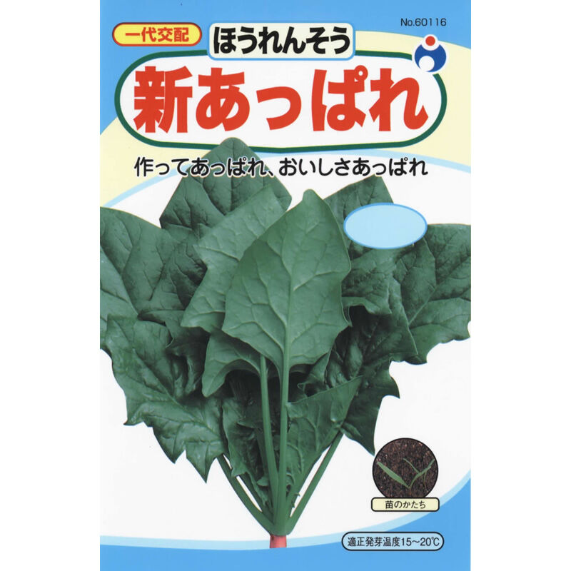 新あっぱれ法蓮草（ほうれんそう） / 【60116】 | 花さんぽ｜種子を