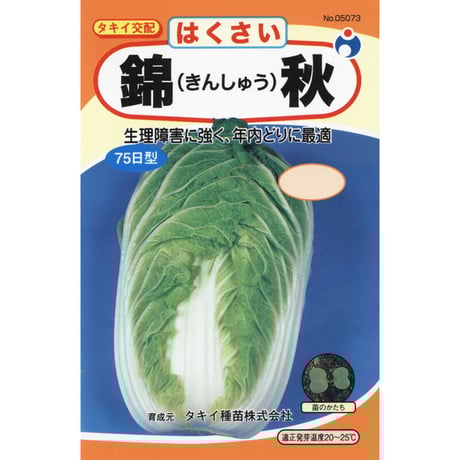 錦秋白菜　/　【05073】