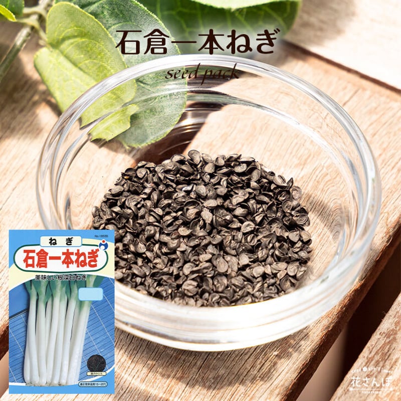ねぎ様 石倉一本ねぎ / 【16555】 | 花さんぽ｜種子をはじめ園芸用品を