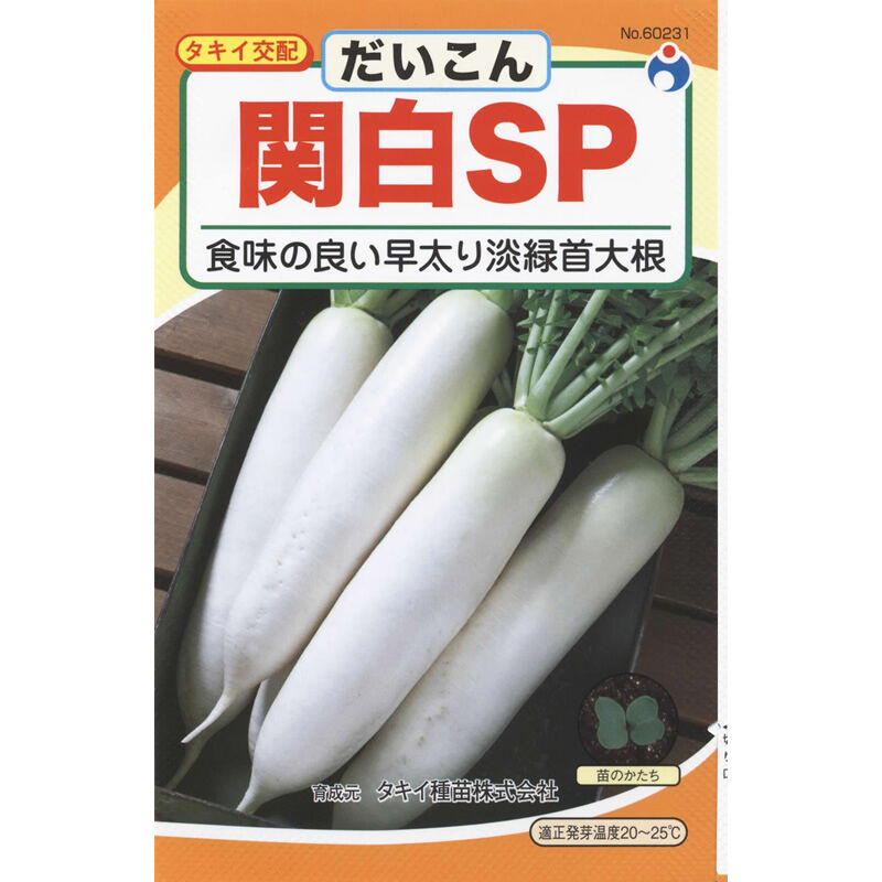 だいこんさん 関白SP大根（だいこん） / 【60231】 | 花さんぽ｜種子をはじめ園芸