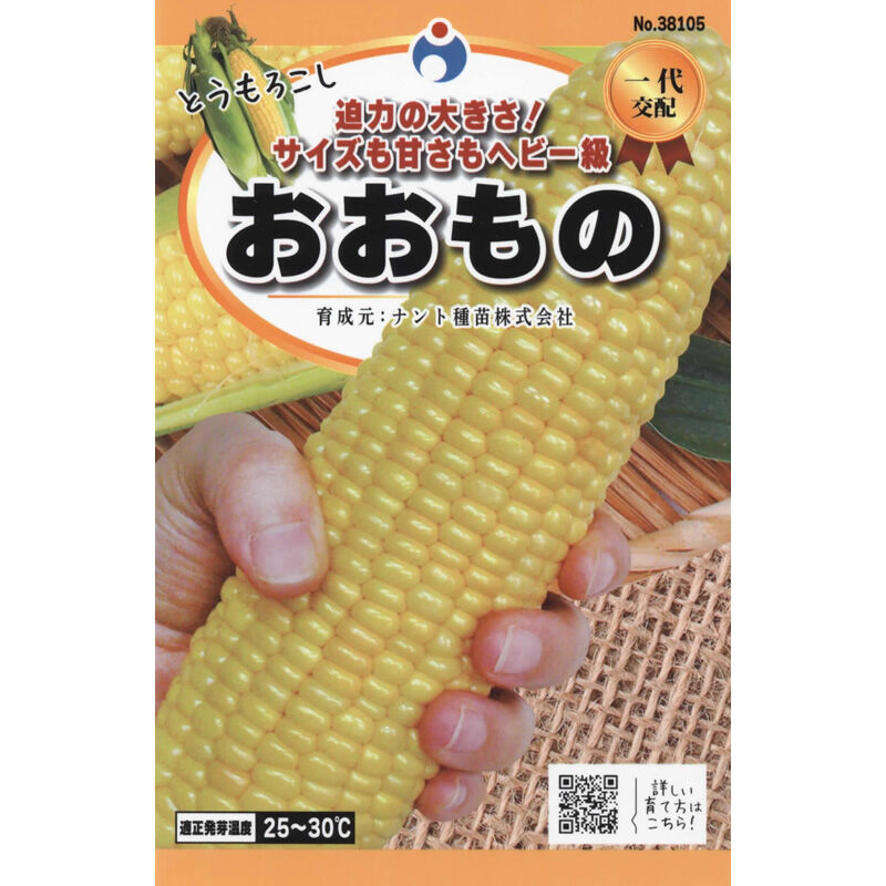おおもの（コーン） / 【38105】 | 花さんぽ｜種子をはじめ園芸用品を