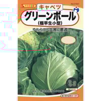 グリーンボール甘藍（キャベツ）　/　【01007】