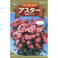 F1時なし五寸人参（ごすんにんじん） / 【60117】 | 花さんぽ