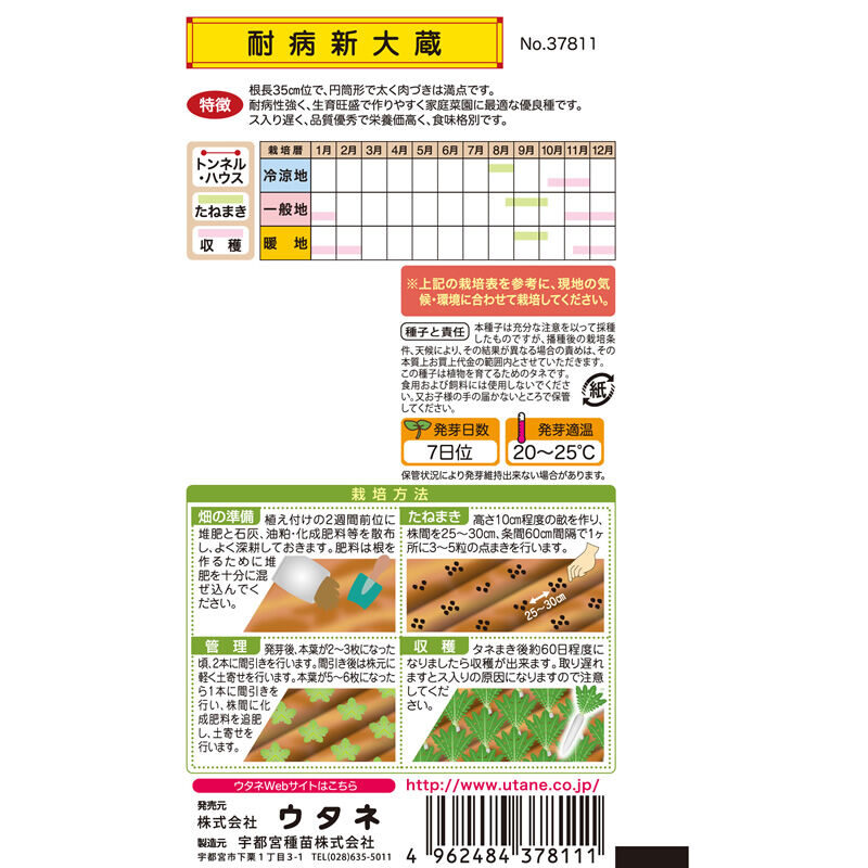 耐病新大蔵大根（だいこん） / 【37811】 | 花さんぽ｜種子をはじめ