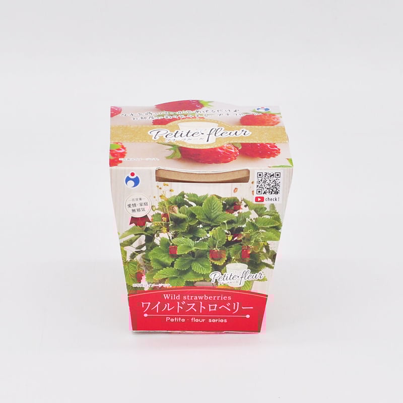 花の栽培キット ワイルドストロベリー 【87066】 | 花さんぽ