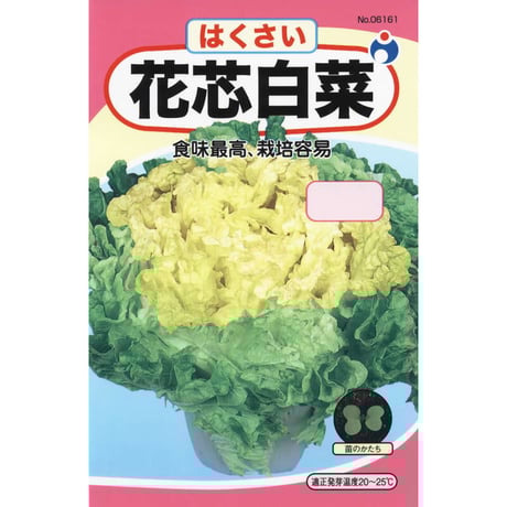 花芯白菜　/　【06161】