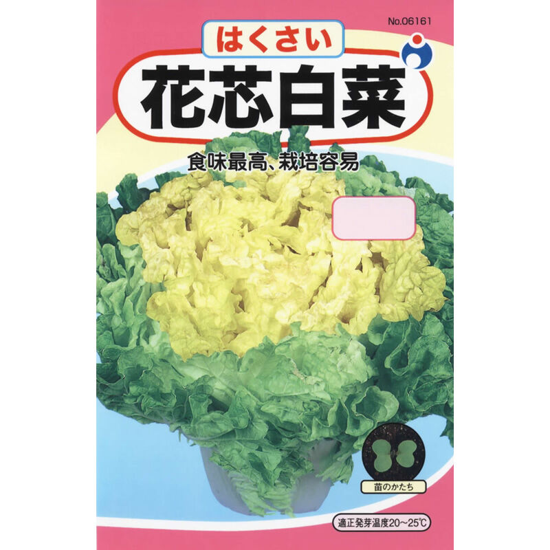 花芯白菜 / 【06161】 | 花さんぽ｜種子をはじめ園芸用品を取り扱う
