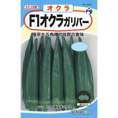 オクラガリバー　/　【10241】