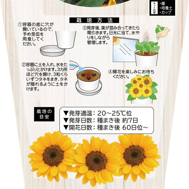 花の栽培キット ミニヒマワリ 【87065】 | 花さんぽ｜種子をはじめ園芸