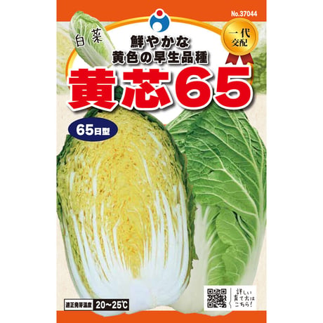 黄芯６５白菜　/　【37044】