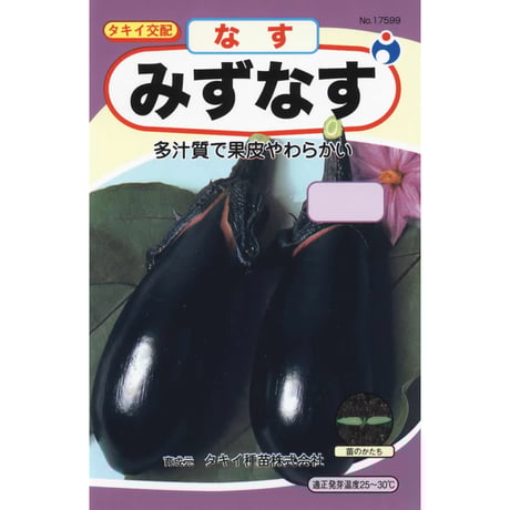 みず茄子　/　【17599】