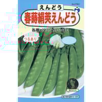 春蒔絹莢えんどう　/　【27801】