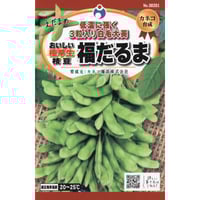 おいしい極早生枝豆福だるま　/　【38281】