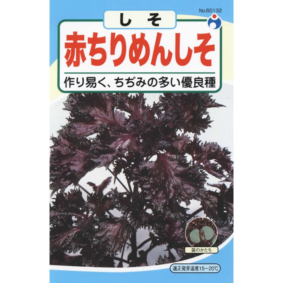 606c19f0d5e9c9656e50ae95