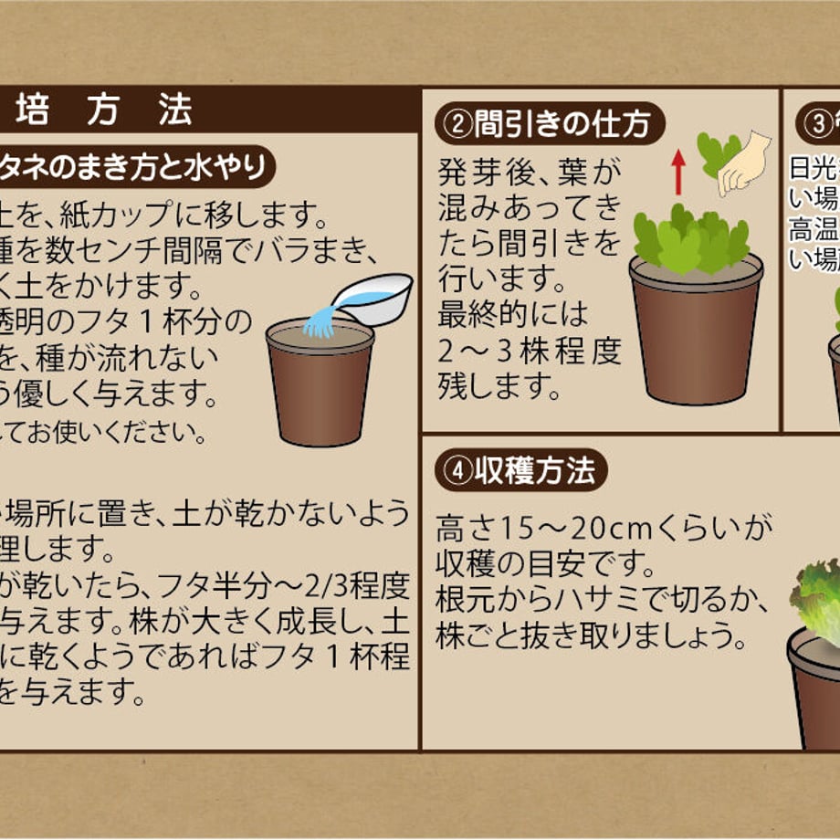 63fd4c40db33f60eb5e649be