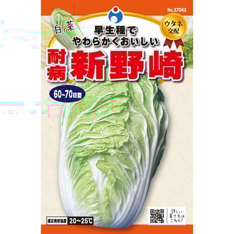 耐病新野崎白菜　/　【37043】