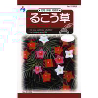 るこう草　/　【31952】