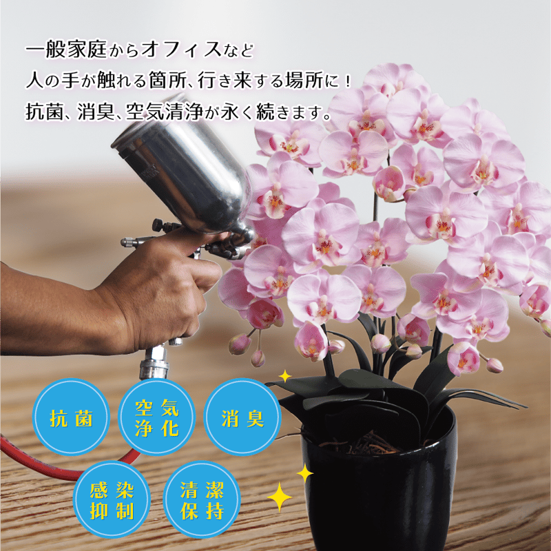 胡蝶蘭2本立_ピンク 光触媒24セラコート・ワン加工 | 花さんぽ｜種子