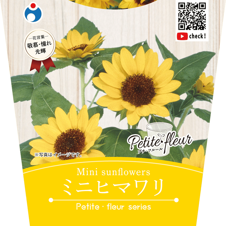 636092b34292bf3ab5ce4594