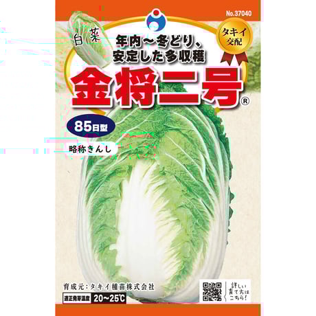 金将二号白菜　/　【37040】